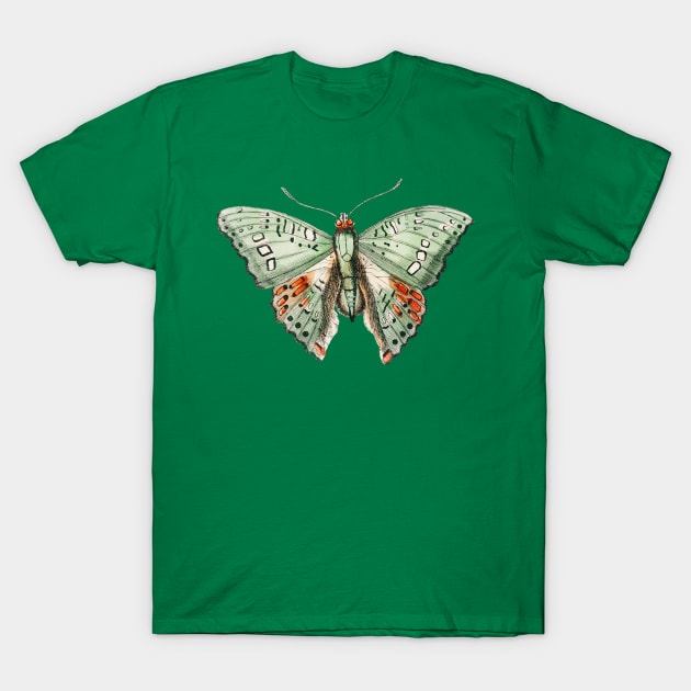 Green Butterfly T-Shirt by CatyArte